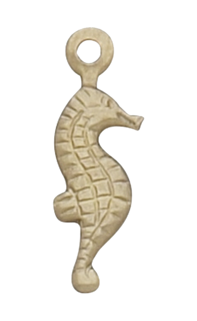 seahorse.png